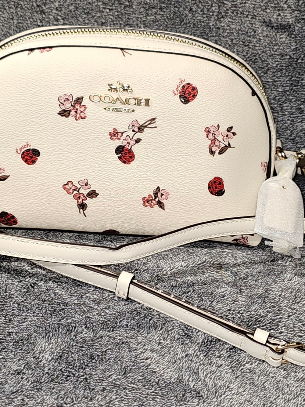 Coach White Floral & Ladybug Crossbody Bag - Picture 2 of 15